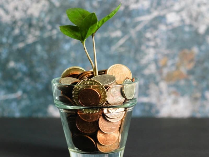 Illustration showing Financial Advisory Financial Advisory